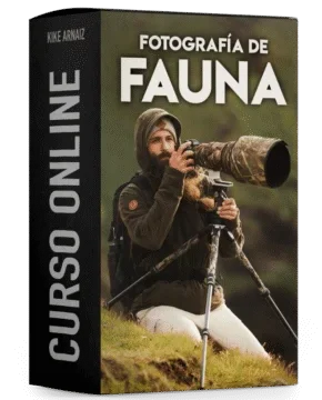 curso fotografia de fauna Kike